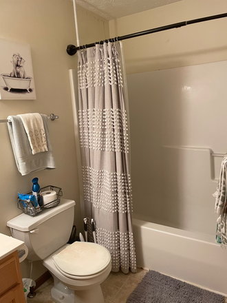 Upstairs Bathroom - Townhouse Room For Rent (Female)
