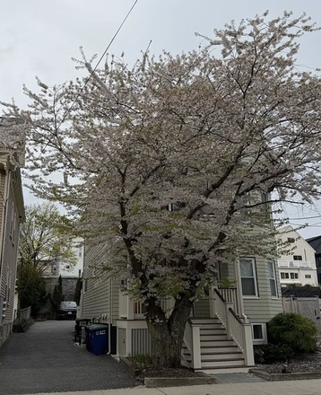 Outside Street View - Beautiful 3BR/2BA near Davis Sq & Magoun Green Line - easy access to Harvard, Tufts Condo