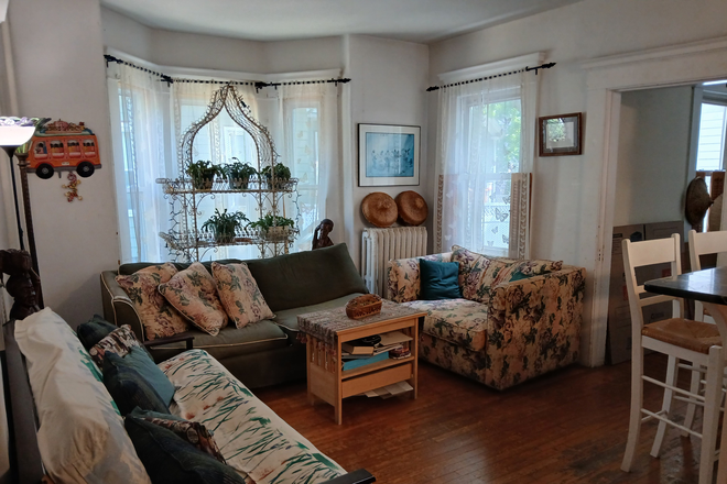 Living Room - Cambridgeport Bright quiet house centrally located to MIT and Harvard - Utilities Included