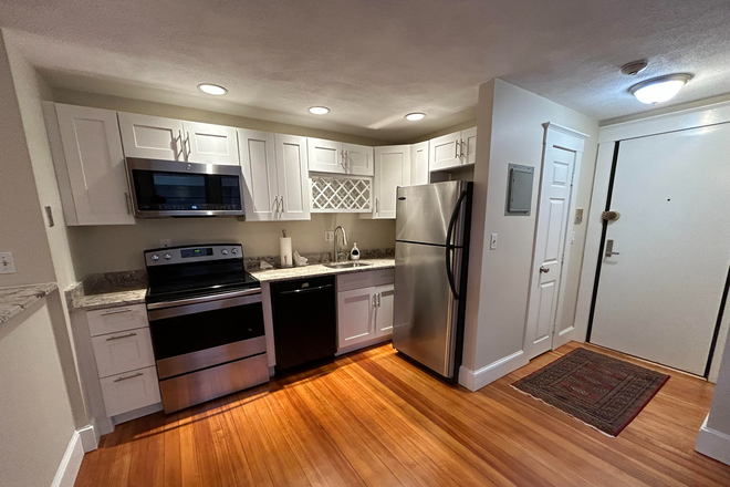 Fully renovated kitchen - **SHORT-TERM RENTAL AVAILABLE JANUARY 2025** SPACIOUS 2-BEDROOM APARTMENT