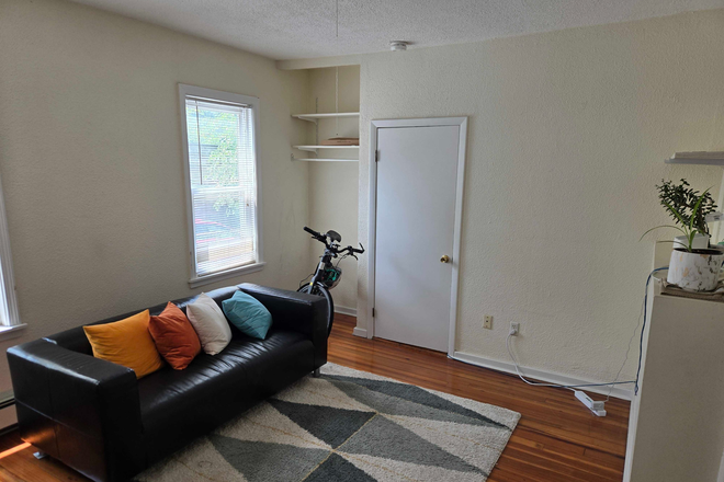 Living Room - Room in East Cambridge Apartment for September 1st!