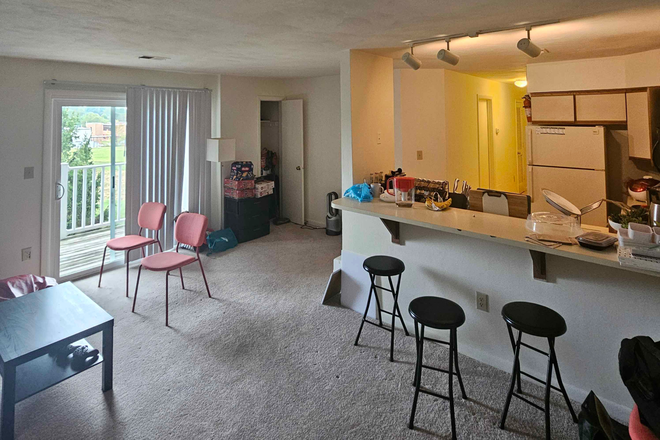 Entrance / Living Room - University Terrace Apartment Sublease