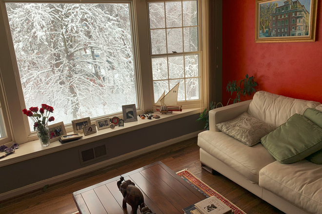 Back yard in winter - Single Family House with 4 rooms and 3 bathrooms