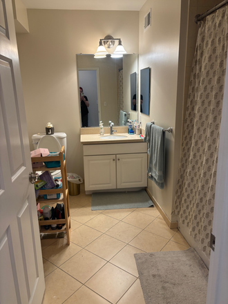 bath - 1BR apt-Spring St-Princeton