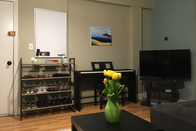 Living Room - $2850 / 2br - 1042ft2 - Large 2BR • W/D • Beacon St • C-Line  • No Fee (Brookli Condo