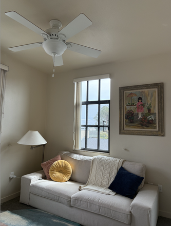 Living Room Area - 1 bedroom, 1 bath apartment *2 minute walk from campus*