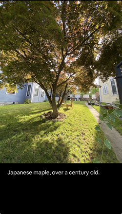 Lovely yard with trees for your use - Majestic Studio in Victorian Whaling Captain's Home