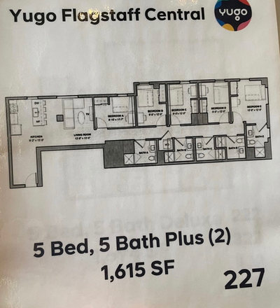 Floorplan of apartment, listing is for unit B - Yugo Flagstaff Central