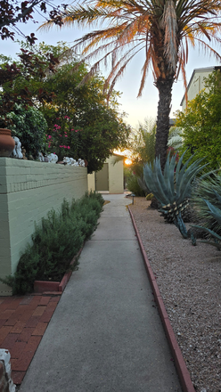 Outside - Desert Oasis Condo