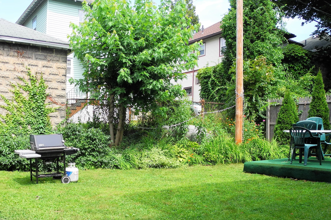 yard - SUNNY and SPACIOUS apartment near Boston College