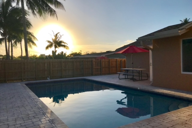 Pool & picnic table in nice backyard; weekly pool service paid by owner. - FAU Walkable! BIG master bedroom with own Entrance & own Parking in house with POOL