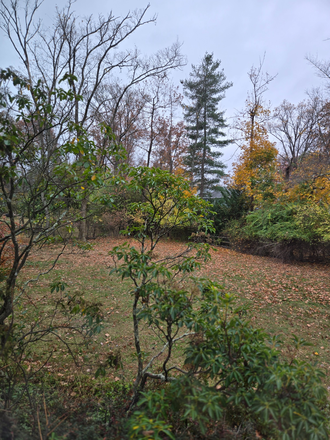 Yard - 4BR home-Braeburn Dr-Princeton