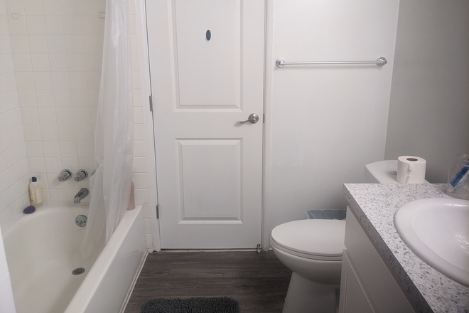 Bathroom (side 2) - Lease Takeover January-July 2026, Ann Arbor Woods Apartments