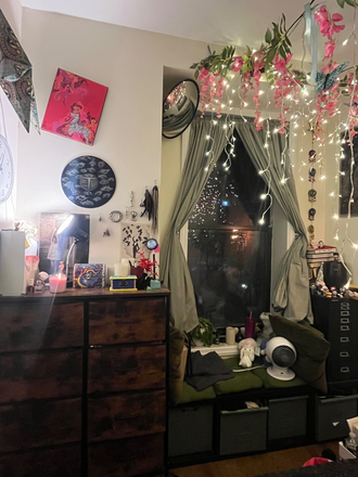 Bedroom with street facing window. - Second Ave Bedroom (fully furnished) (10 mins to campus) (available 12.20.25 - 8.1.26) Apartments