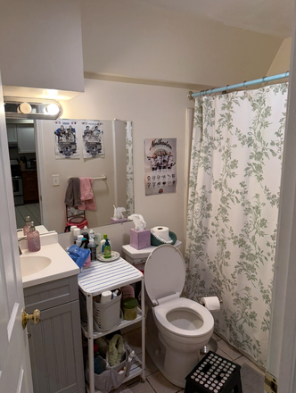 Bathroom - Cute Summer 2 Sublet on Symphony Road!! Apartments