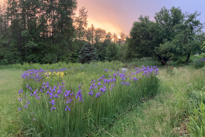 Sunset across meadow - Van Dusen House