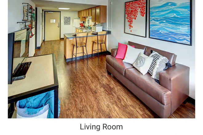 Living Room - Female only!! Close to campus!! Sublet Unit/Room for the Summer in Ramz Apartments on Broad