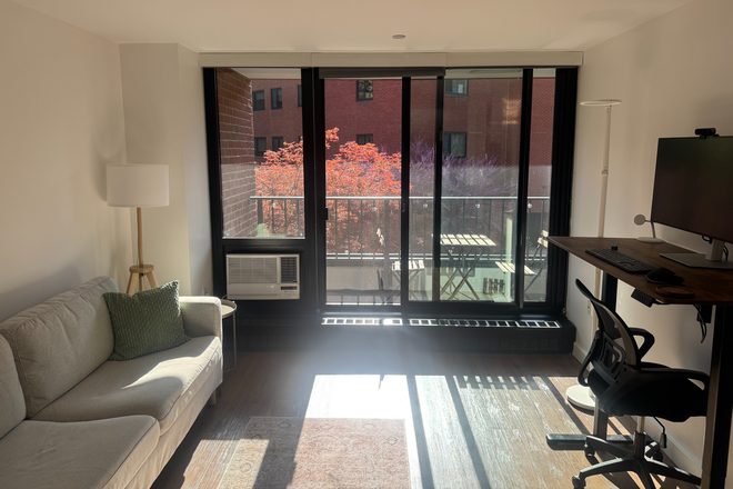 Living Room - Furnished 1 Bedroom Apartment near Harvard Business School