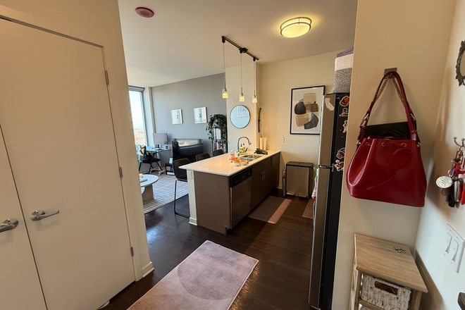 Entryway into Kitchen and Living Room - Sunny Summer Sublet in Evanston Apartments