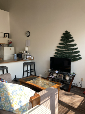 Shared Living Room - Cheap Longmont Room For Rent (1 bedroom in 2 bedroom apartment)