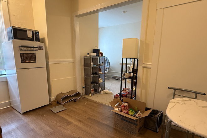 living/sleeping area - Sunny North Brookline studio for 9/1 Apartments
