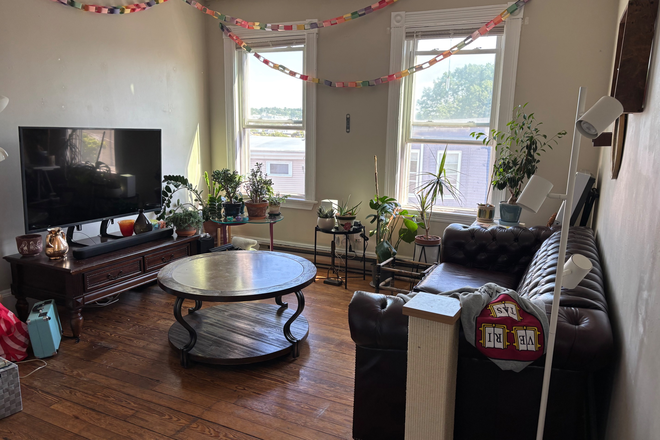 Common room - Student Apartment w/ In-Unit Laundry, Garden, 10 min. from Orange Line and Green Line