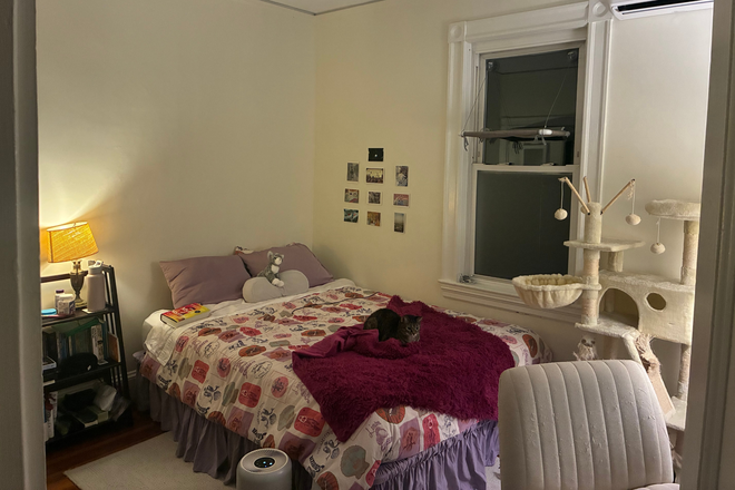 Bedroom. Mattress and frame available for purchase - 1 room in 3bed/1.5 bath in unit washer/dryer, split AC/heating, natural light, high ceilings
