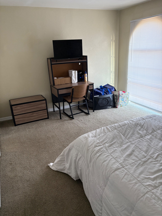 Bedroom - College Town at USF Apartments