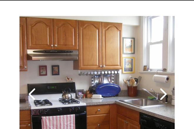 Kitchen - Summer:Furnished 1BR apt-Pine St-Princeton