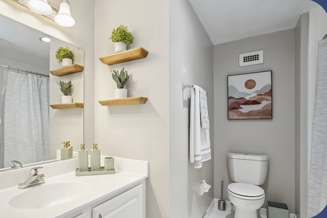 Bathroom - Pleasant View Apartment with Private Bathroom, large space, 5 minute walk to Homewood Campus