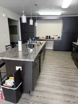 The kitchen - Oasis Apartments right by Liberty and CVCC! First 3 months paid!