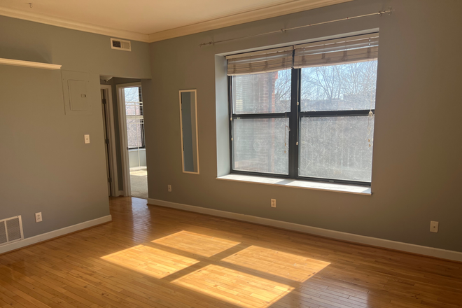 Living room - Perfect Location Apartment