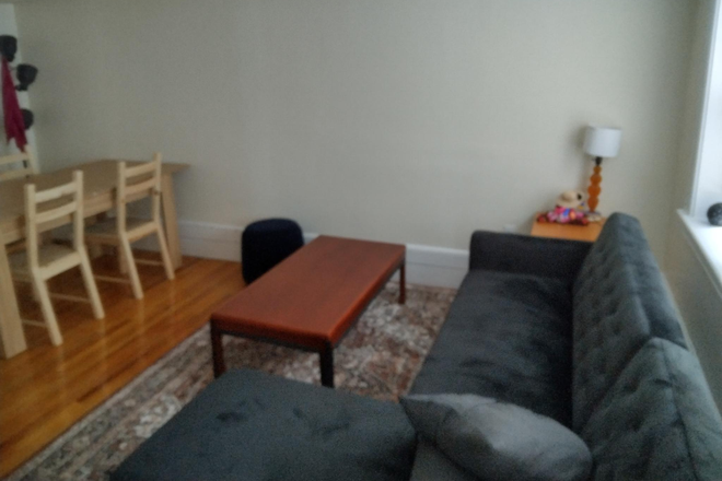 Living room/Dinning room - Hobbit (Town)House close to Harvard Square