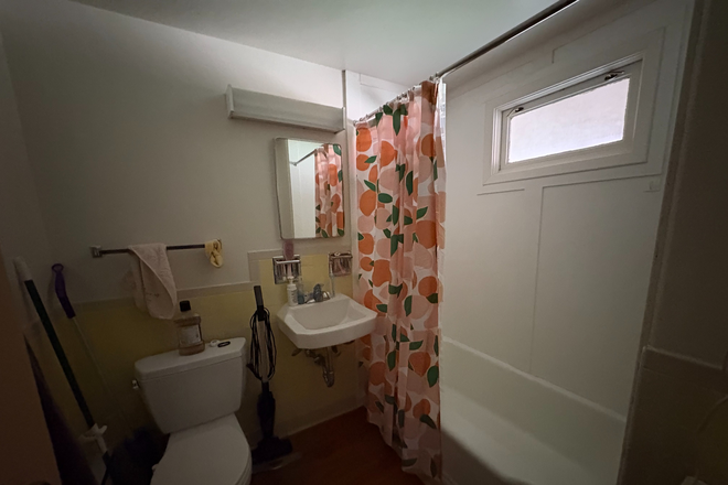 bathroom - Athens Court 1B1B Summer Sublet