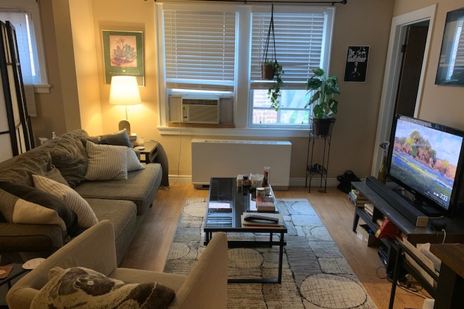 Living Area - Cozy Large Studio Near DU Campus - Kitchen Island, Basement Storage, Great Price! Apartments
