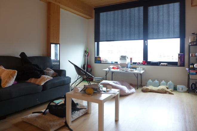 bostonrealtyonline.com - Modern Three Bedroom in Stylish South End Building Featuring Warm Wood Accents