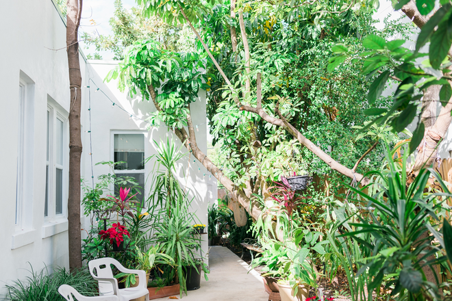 ENTRY WAY (GARDEN) - ELSA SUAREZ ALFONSO