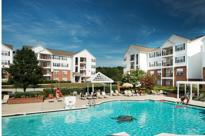 The pool - Courtyards 1, Room 113A (Ground Floor, 4 bed/4 bath, close parking, $974/mo) Apartments