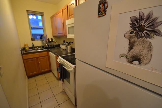 24 - Cute two bedroom in campus area ! (no living room) NO BROKERAGE FEE Apartments