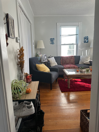 Living room view from entryway - shoerack included - Spacious Single Bedroom Spring Sublet 2026, Fully Furnished with Attached Porch Apartments