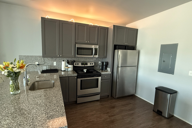 Kitchen/ Living Room - Red Cedar Flats Apartments 2B/2B