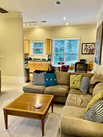 Living room - Old 4th Ward- Charming  APARTMENT walkable