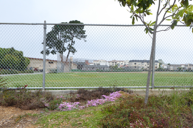 The Park near the rental unit - Garden one bed room Apt. unit ;  walk to USF