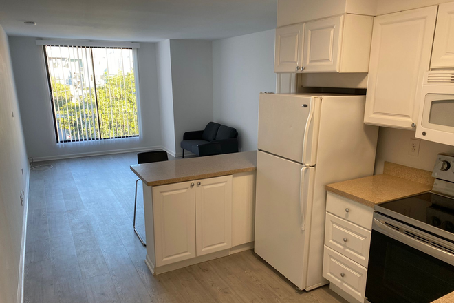 Kitchen and Living Room - 3 Minute Walking Distance to USF Main Campus Lone Mountain 2-Bedroom Apt w 1 Bath for 2  USF Student