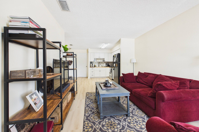 Living Room - Renovated 3BR Duplex Near USF | In-Unit Laundry & Parking Duplex