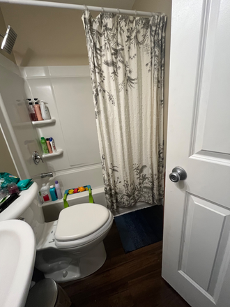Upstairs bathroom - 3 Bed, 2 Bath (plus office) House with Yard, In Unit Landry, and finished basement