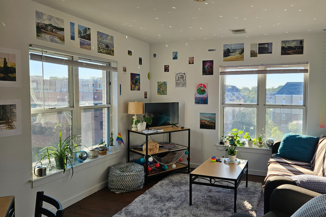 Living room - South Campus Commons 2 Apartments