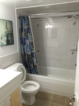 Shared Bathroom - (FOR FEMALES) Private rooms for rent in a shared basement at Victoria Park House
