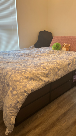 Bedroom currently, includes desk, chair, and beside table; Storage under bed and in big closet - Summer Sublet; 2 Rooms Available, 7 Min Bike to Campus, Fully Furnished House