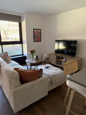 Living room - Studio Apt on HBS Campus - Available all summer